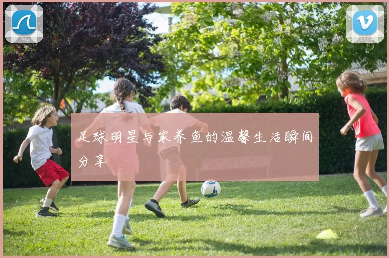 足球明星与家养鱼的温馨生活瞬间分享